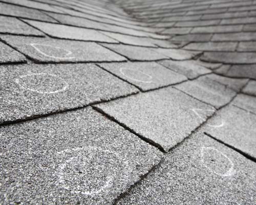 Storm damaged shingle with circled damage marks