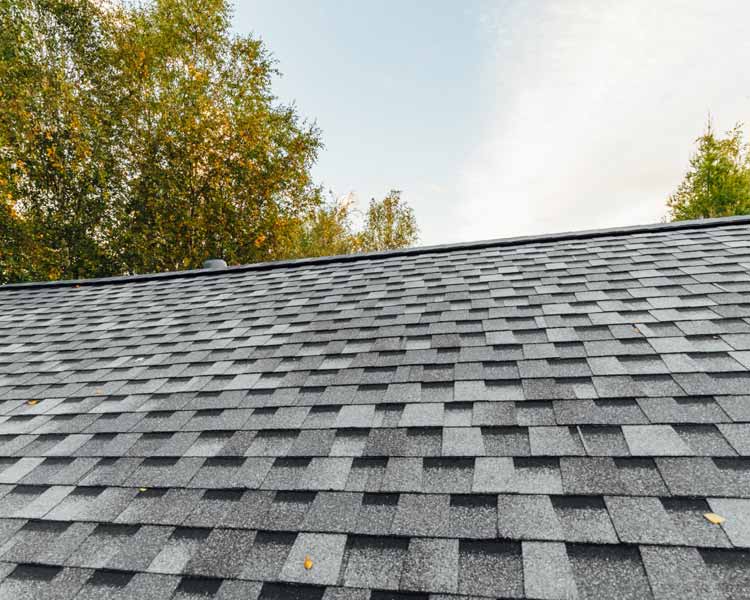 Orange/brown shingled roof with two white chimeny stacks