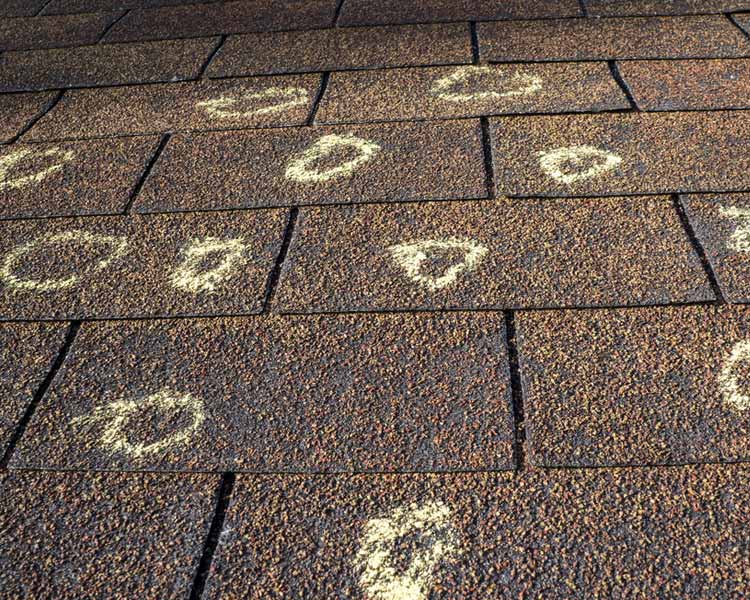 Circled marks on the shingles where storm damage occured