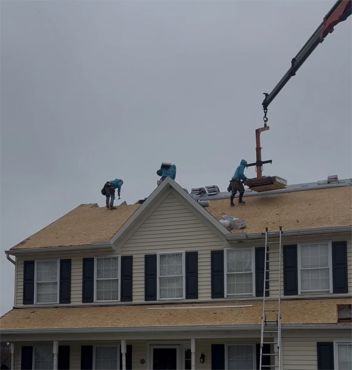 Expert Roofing and Storm Damage Project Near You on Horseshoe Dr