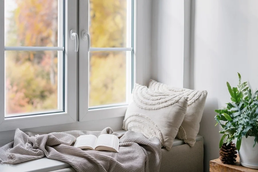 Double-pane window glass