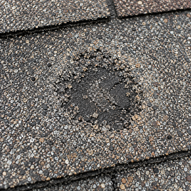 Hail bruise on a shingle